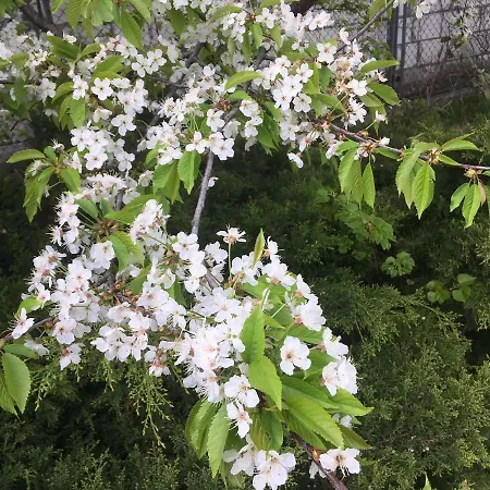 Stacja Rembertow Homestay Warsaw