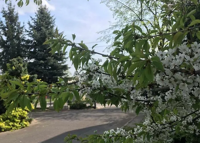 Stacja Rembertow * ワルシャワ