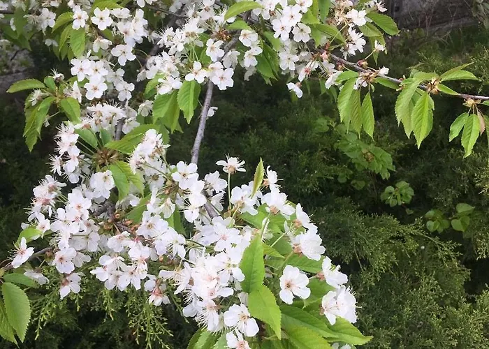 Stacja Rembertow ホームステイ ワルシャワ